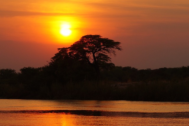 okavango delta